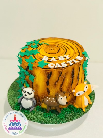 Woodland Animal Cake-min.jpg